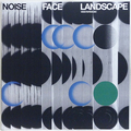 NOISE FACE LANDSCAPE