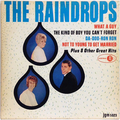 Raindrops, The (1985 reissue)