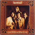 Lost Without Your Love