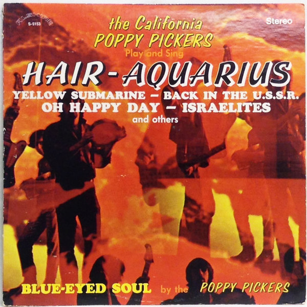 Hi Fi Record Store カリフォルニア ポピー ピッカーズ California Poppy Pickers The Hair Aquarius