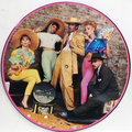 Tropical Gangsters (picture disc)