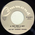 Toy For A Boy, A / This Is My Player