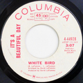 White Bird / White Bird