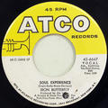 Soul Experience / In The Crowds