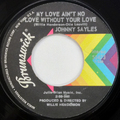 My Love Ain’t No Love Without Your Love / Good Golly