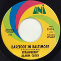Barefoot In Baltimore / Angry Young Man, An
