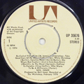 Re-Cycled Vinyl Blues / Fluff On The Needle