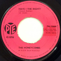 Have I The Right? / Please Don't Pretend Again 