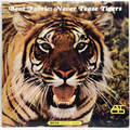 Never Tease Tigers
