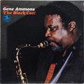 Black Cat, The