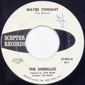 Maybe Tonight / Lost Love