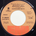 Beautiful Day, Beautiful Night / Sam
