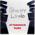 Aftershock Dubs (LP, 2026 press)