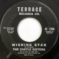 Goodbye Dad / Wishing Star