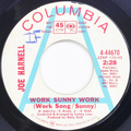 Work Sunny Work (Work Song/Sunny) / Sky Hawk