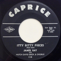 Itty Bitty Pieces / You Remember The Face