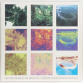 Three Amazonian Esseys (LP)