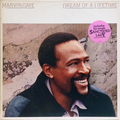 Dream Of A Lifetime (UK press)